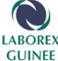 LABOREX GUINEE
