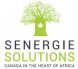 SENERGIE SOLUTIONS SN