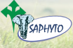 Saphyto