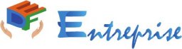 DF ENTREPRISE