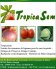TROPICASEM